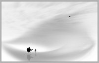 155 - ISOLATED TOURIST 1 - RAY ASIT - india <div